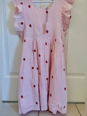 EUC Pink Chicken Light Pink Gauze Strawberry Embroidered Elsie Dress